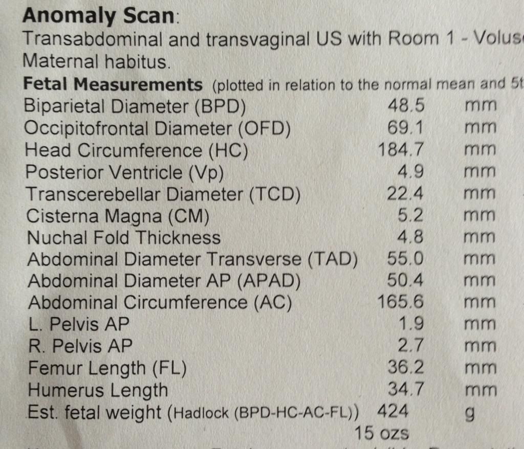 20 weeks scan baby measurements BabyCentre