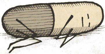  photo sleepingpillsinparadisebadge_zps27bfe84c.png