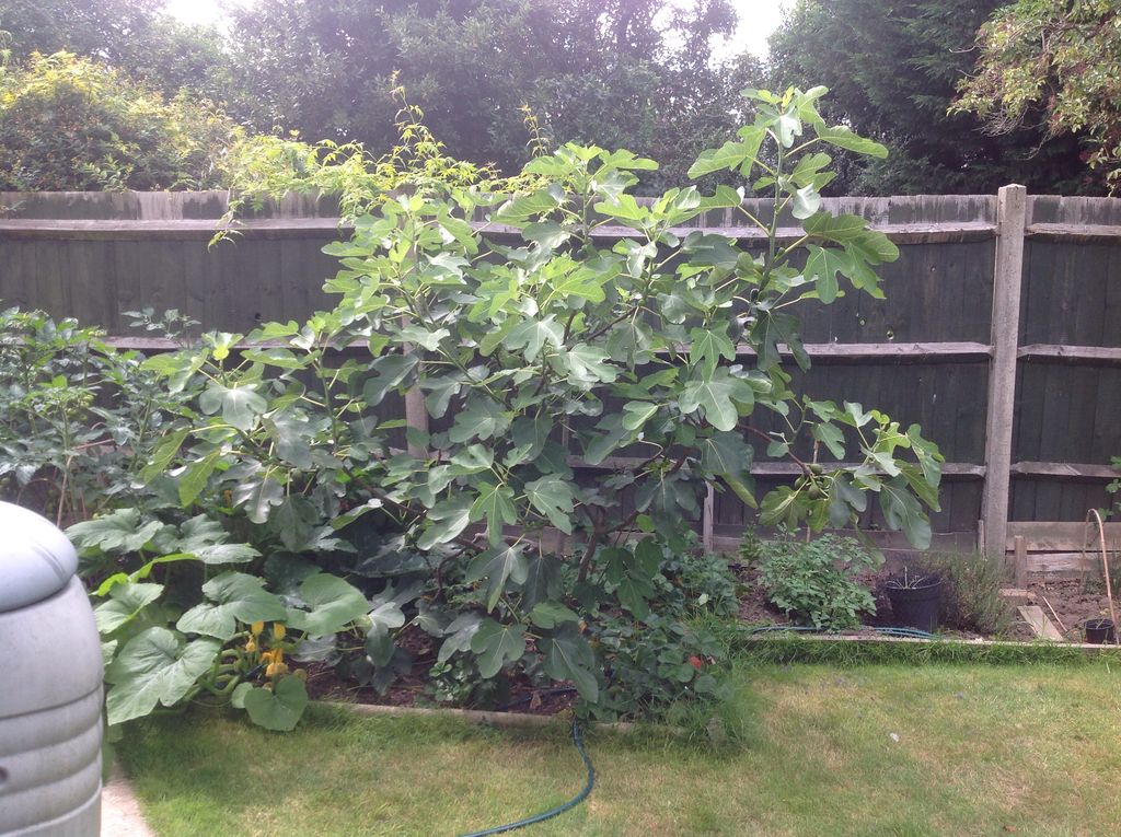 435744b3a7adf846711c2e881a7234ab_zpsjhsc