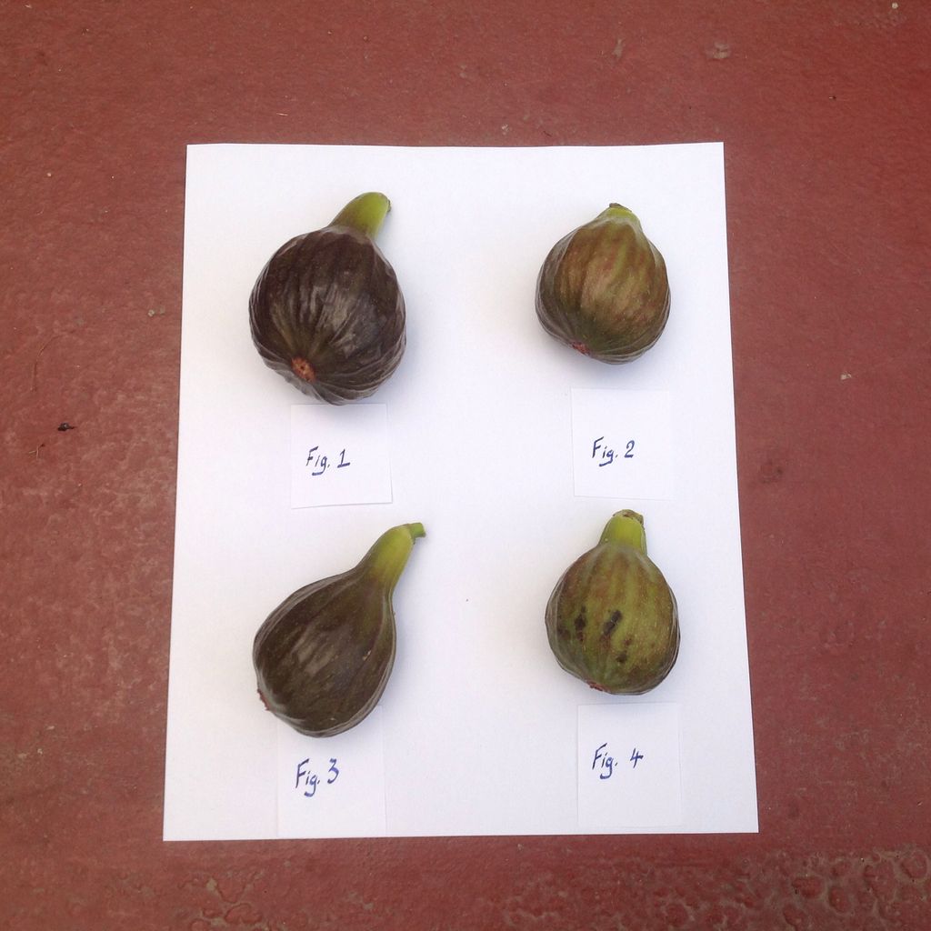 d4515564abb14b1ae4693f148aea6d4f_zps7siu