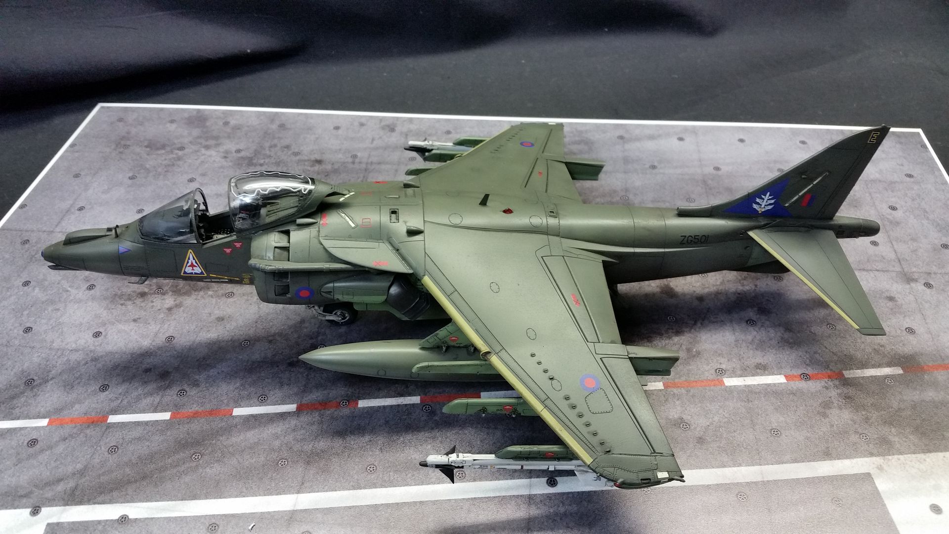 hasegawa harrier